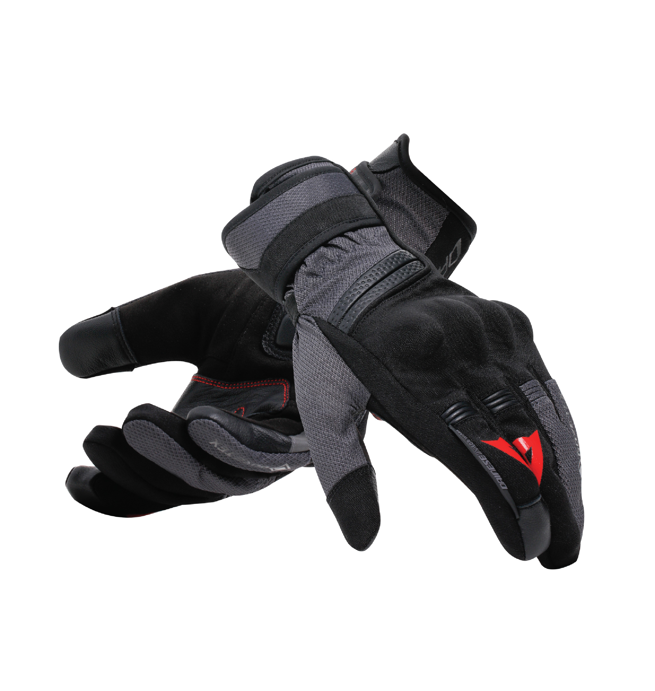 Daisy on the Ohoopee